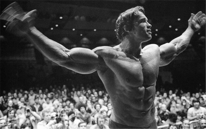 Arnold Schwarzenegger Posters