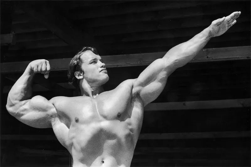 Arnold Schwarzenegger Posters